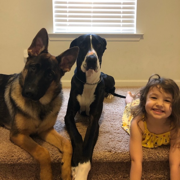 Meet your Posher, Kelsie - Picture 4 of 4